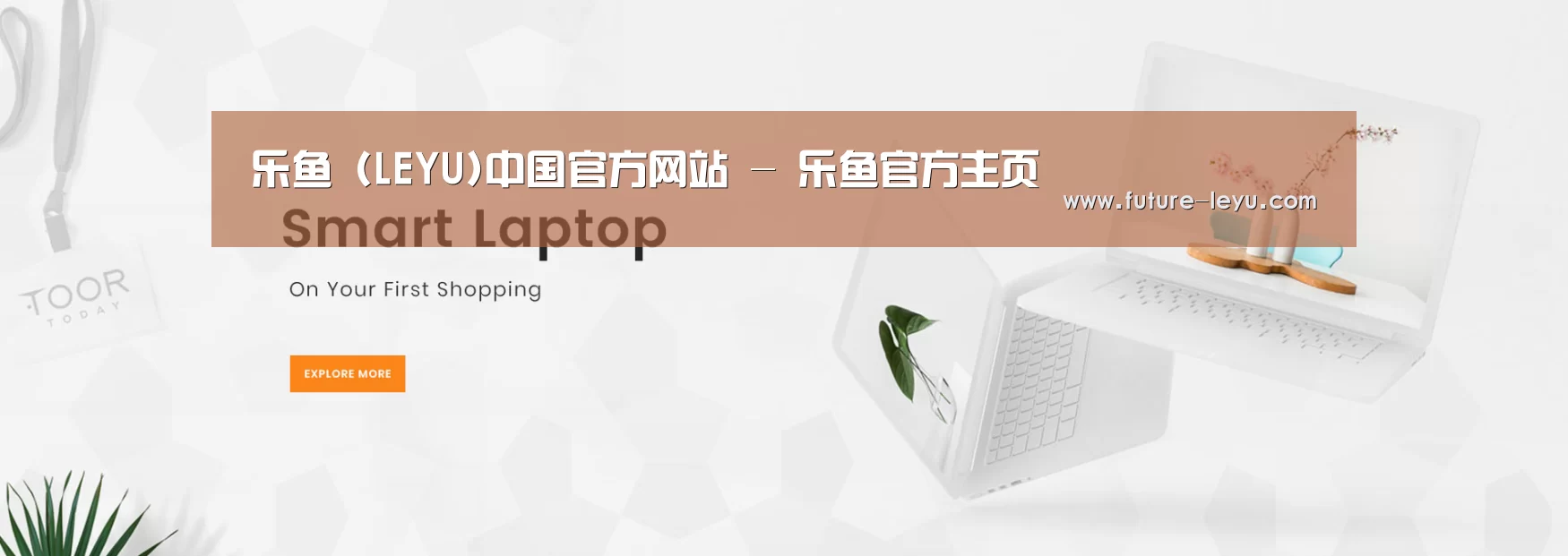 某某网络科技有限公司