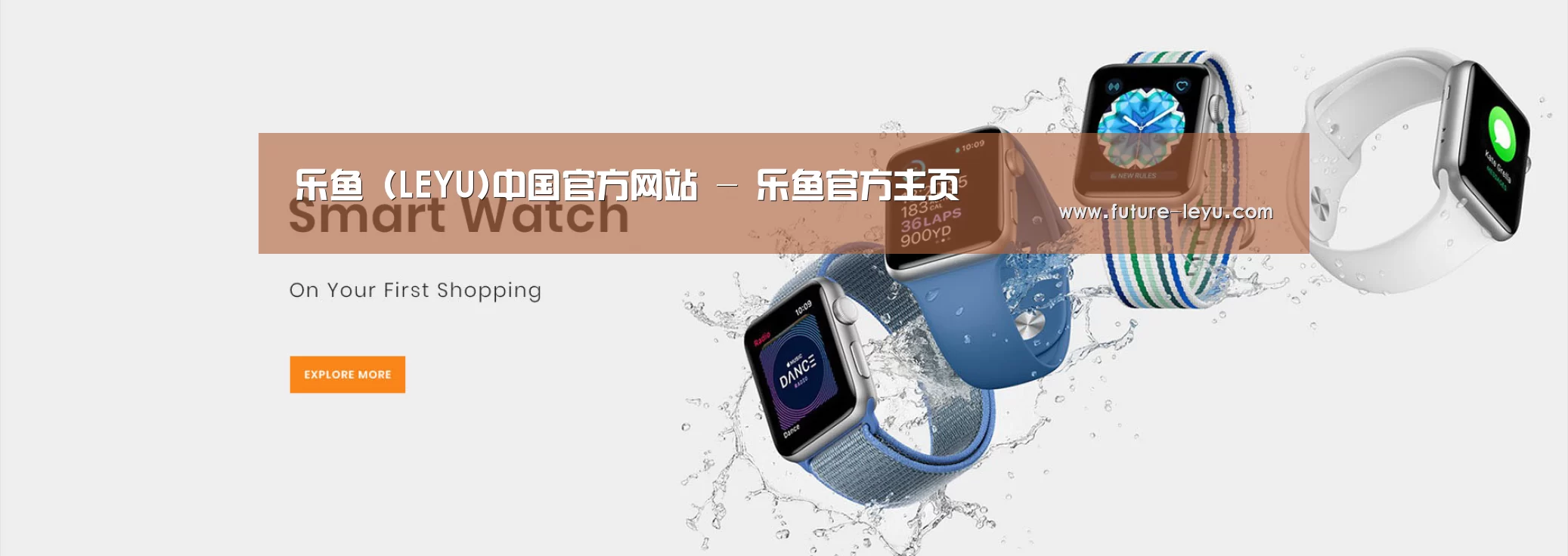 某某网络科技有限公司