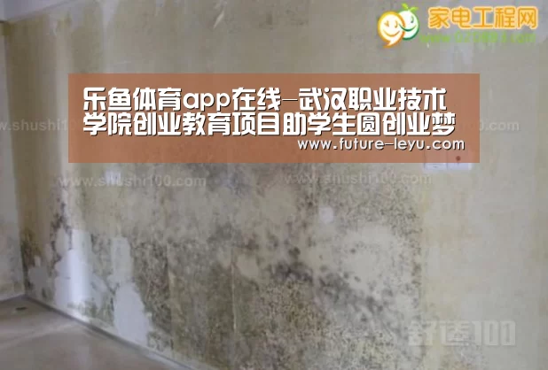 乐鱼体育app在线-武汉职业技术学院创业教育项目助学生圆创业梦(图3) 乐鱼体育平台