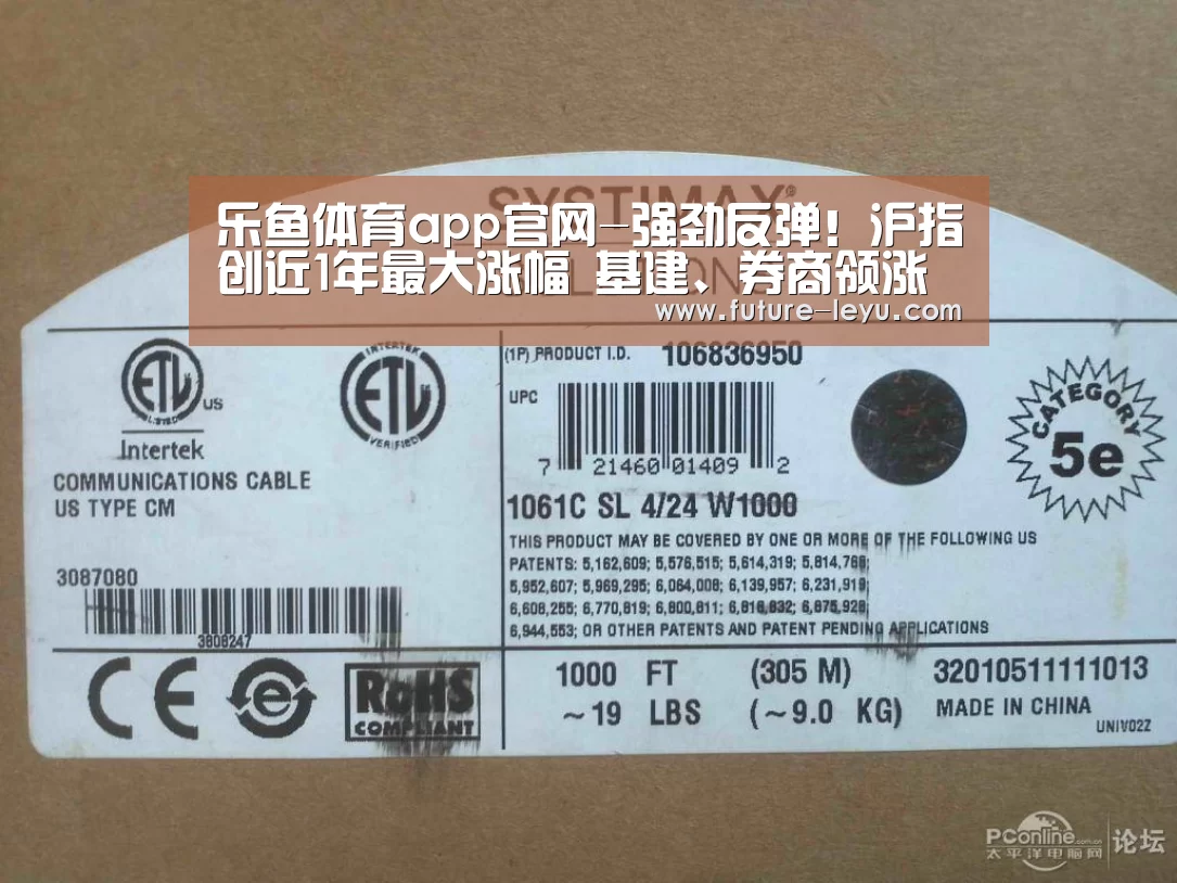 乐鱼体育app官网-强劲反弹!沪指创近1年最大涨幅 基建、券商领涨 机构这样看后市(图2) 乐鱼体育app在线