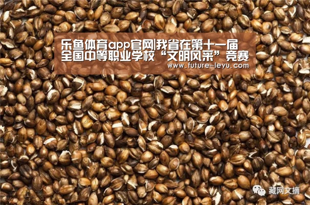 乐鱼体育app官网|我省在第十一届全国中等职业学校“文明风采”竞赛活动中载誉而归(图2) 乐鱼体育app官网