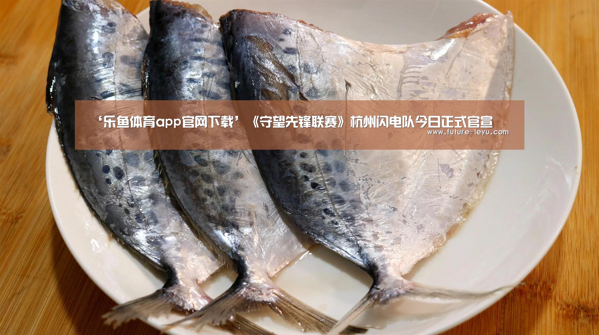 ‘乐鱼体育app官网下载’《守望先锋联赛》杭州闪电队今日正式官宣(图3) 乐鱼体育app在线