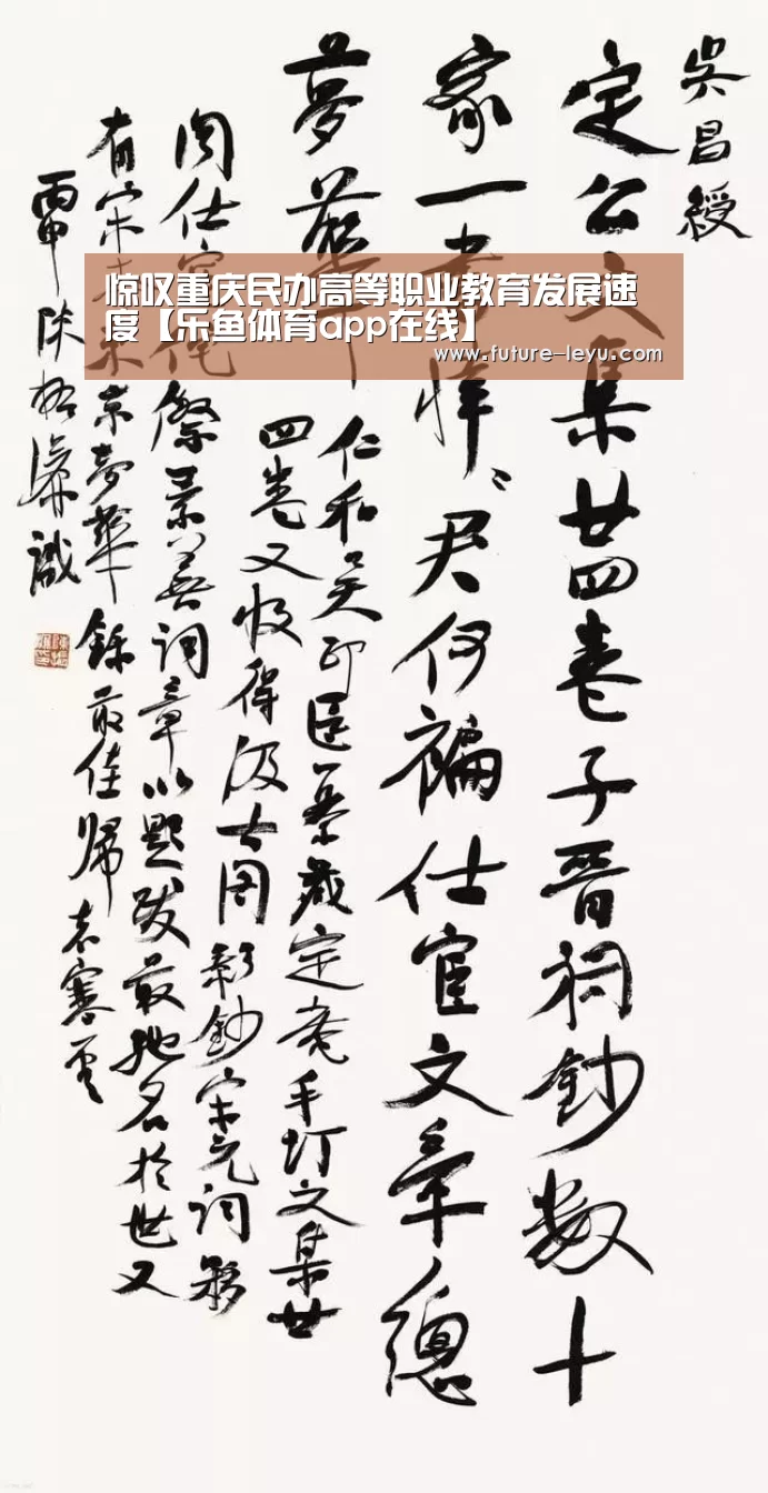 惊叹重庆民办高等职业教育发展速度【乐鱼体育app在线】(图2) 乐鱼体育app官网下载