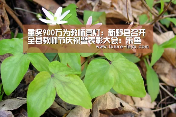 重奖900万为教师亮灯：新野县召开全县教师节庆祝暨表彰大会：乐鱼体育平台
